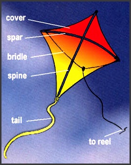 play kite anatomy