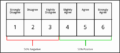 5 Likert Scale Example