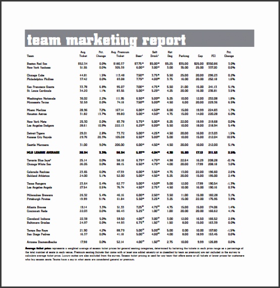 team marketing report pdf template free