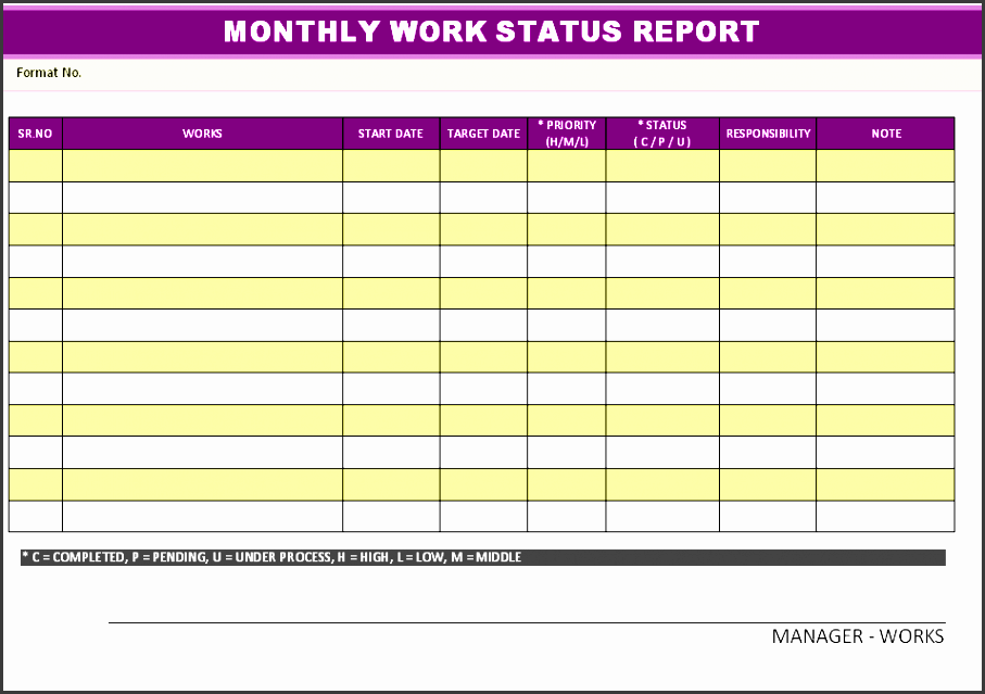 monthly workstatus report