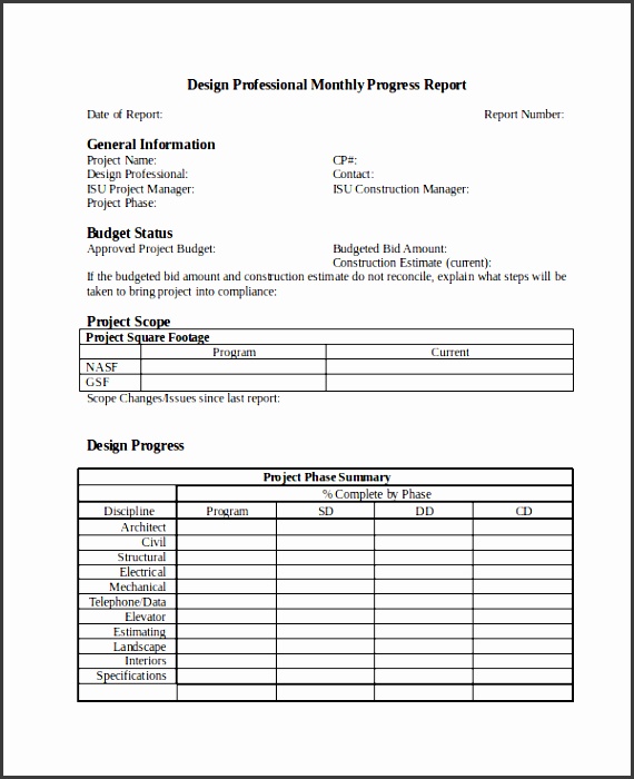 dp monthly progress report in word