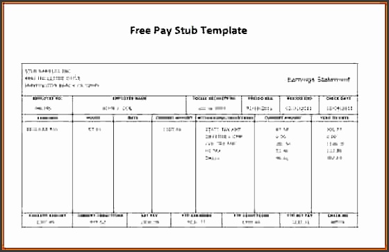 online payroll stub generator pictures