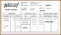 10 Pay Stub format
