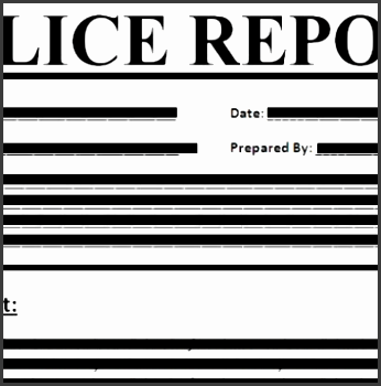 7 police report templates