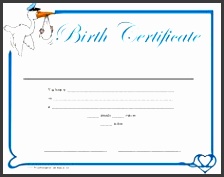 a cute birth certificate bordered in blue with a full color graphic in the