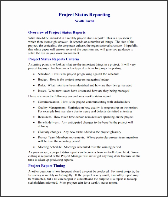software project weekly status report template pdf printable