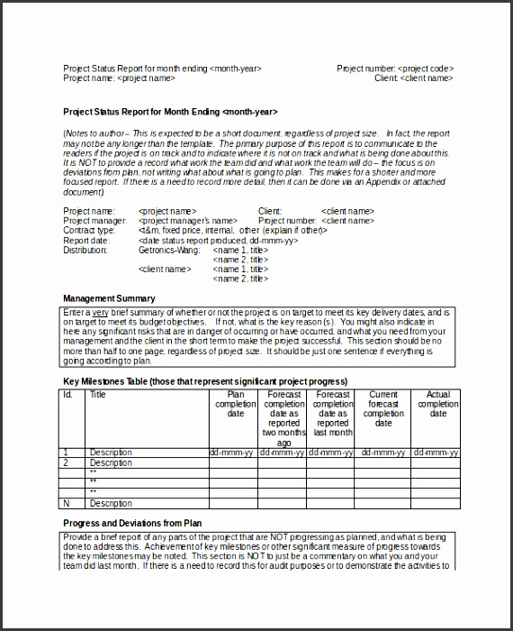 sample monthly project status report template