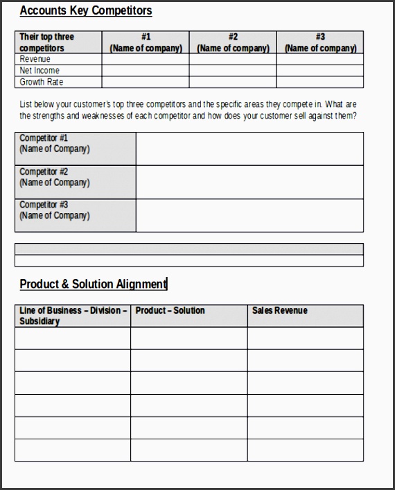 strategic account plan template