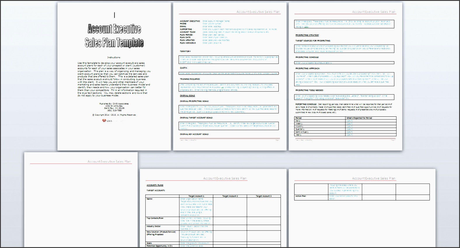 1081 accountexecutivesalesplantemplate