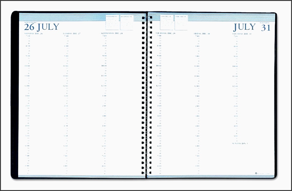 house of doolittle professional academic weekly planner 12 months august 2012 to july 2013 with quarter hour appointments recycled hod