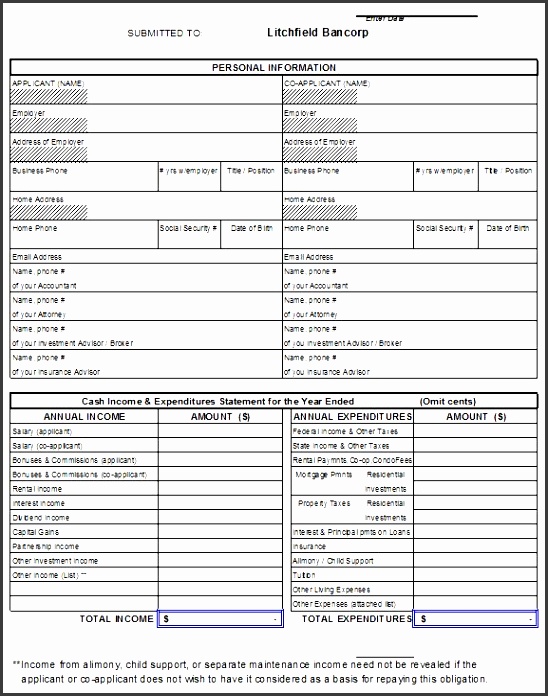personal financial statement template 43