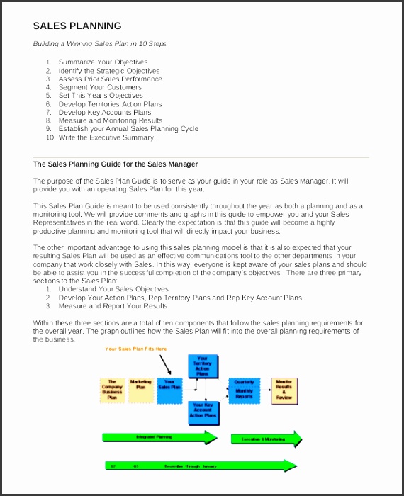 sample sales planning