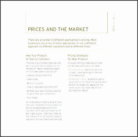 sample sales business plan template