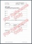 7 Standard Operating Procedure Example