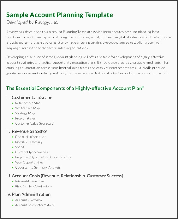 one page strategic account plan