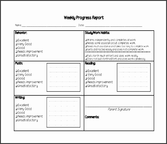 weekly progress report template pdf format