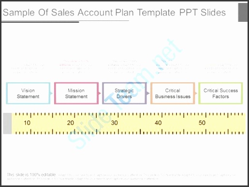 view sample of sales account plan template ppt slides