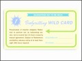 8  Babysitting Vouchers Template