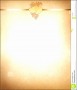 6  Background Paper Template
