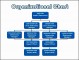 9  Bank organizational Chart
