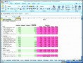6  Business Projections Template