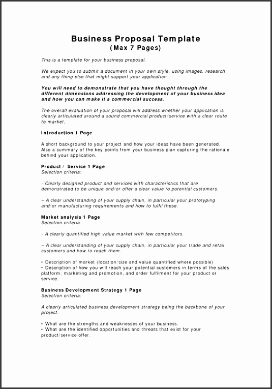 Business Proposal Templates Examples