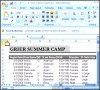 8  Camp Registration form Template