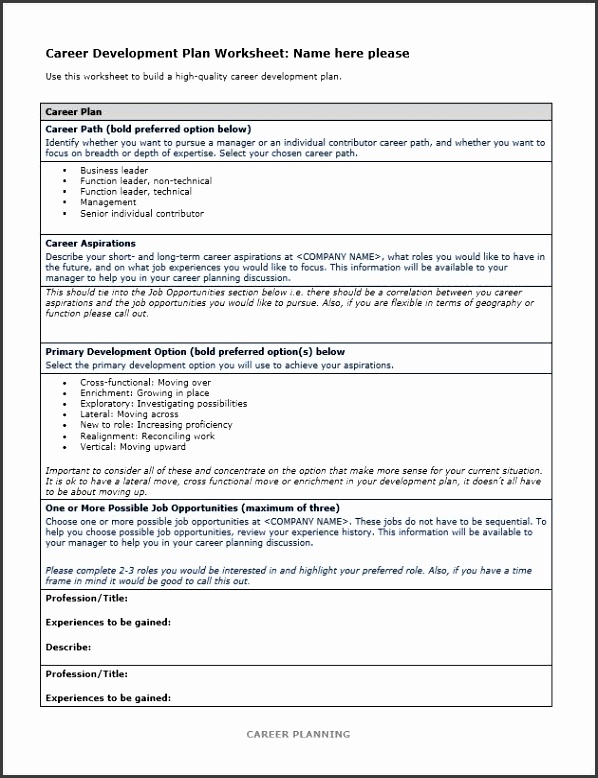 developing a plan of research career development plan example career
