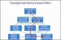 7  Career Path Template for Employee