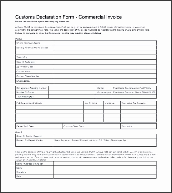 International mercial Invoice templates PDF