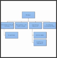 Corporate Structure Chart