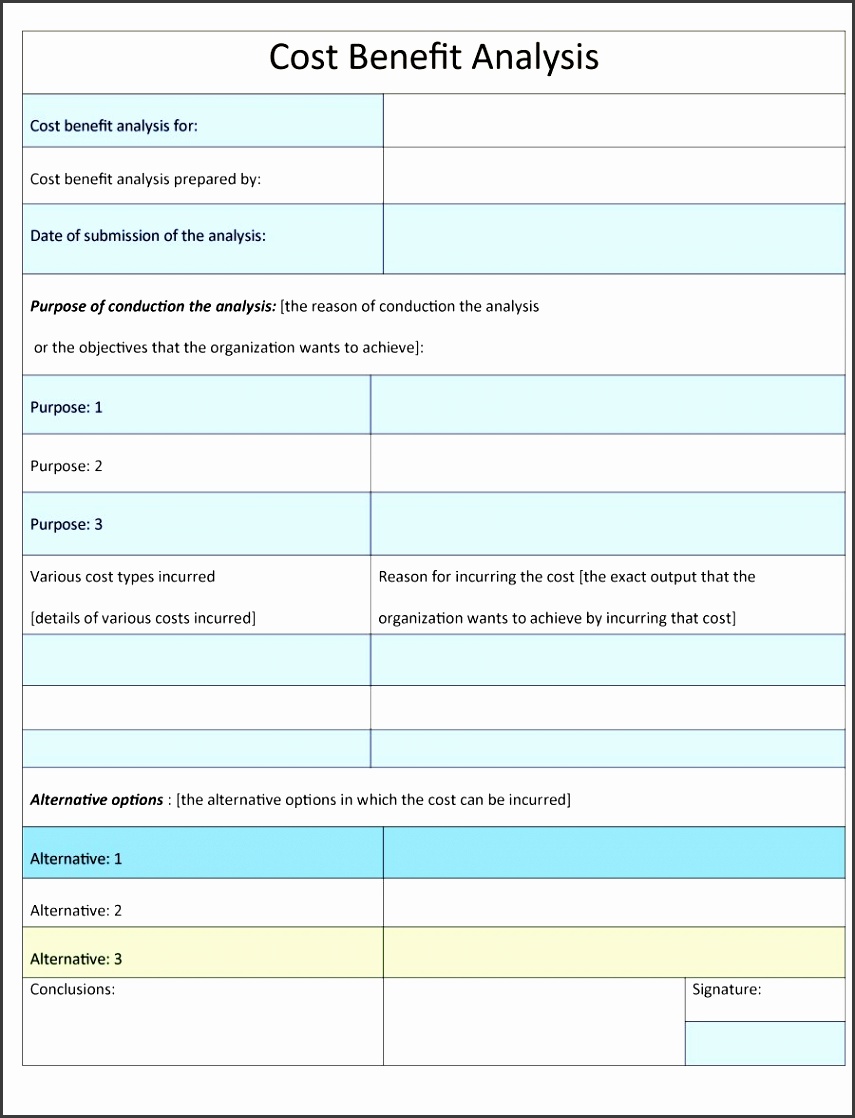 Printable Cost Benefit Analysis Template 12