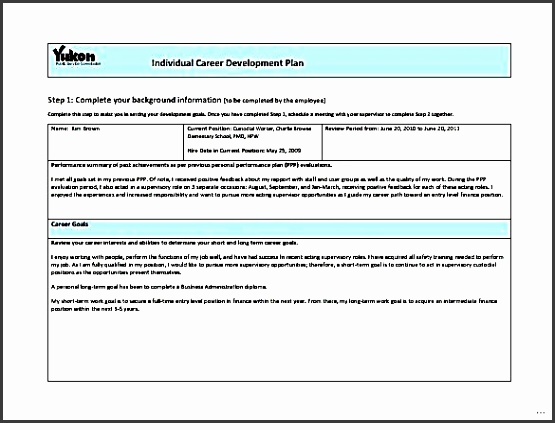 Career development plan template picture Career Development Plan Template Enticing Word Documents with medium image