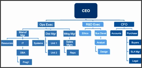 Organizational Breakdown Structure OBS Example