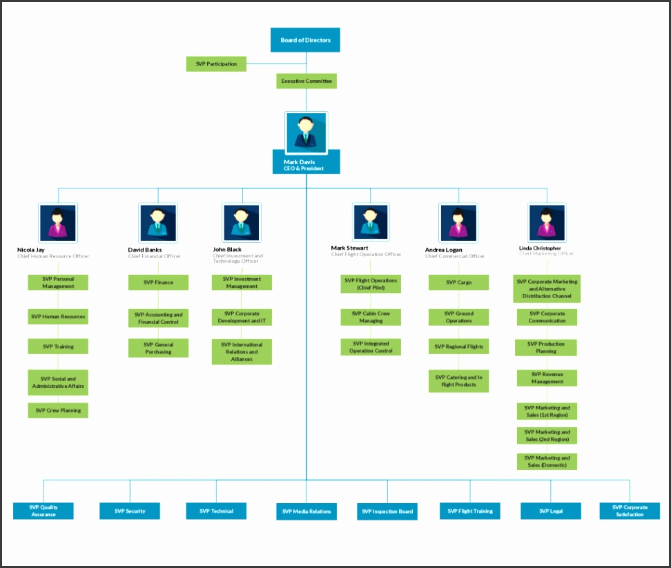 Org Chart Template for Airline