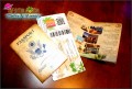 10  Free Passport Wedding Invitations Template