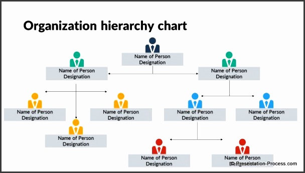 5 Hierarchical organisational Structure - SampleTemplatess ...