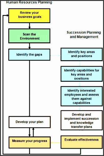 Succession Planning And Management Guide
