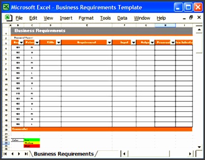 Business Requirements – Excel Template