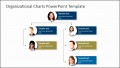 8  org Charts Templates