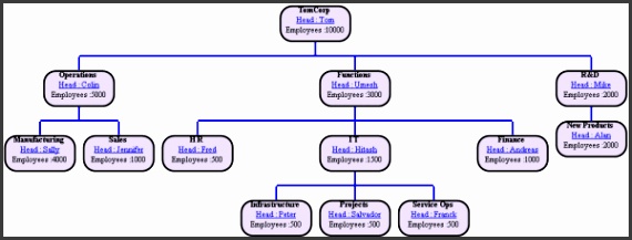 A Sample pany Organization Chart