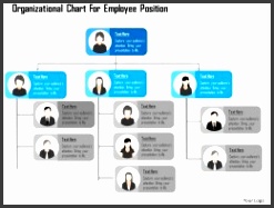 Organization Charts PowerPoint Designs nfgie Organizational Chart For