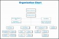 9  organization Chart Of A Company