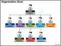 7  organization Chart Templates