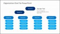 9  organization Charts Template