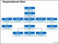 10  organization Template