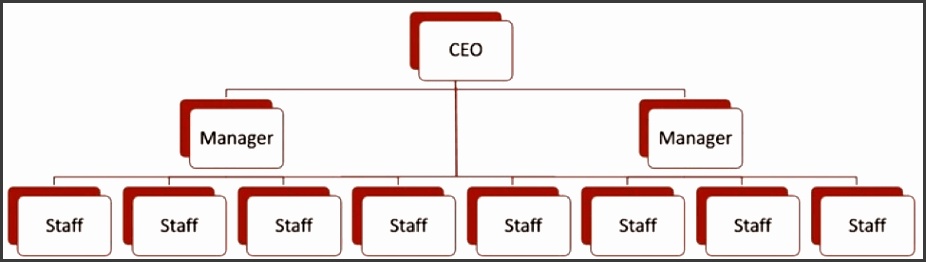 A flat organizational chart example