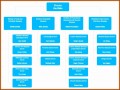 7  organizational Chart Examples