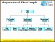 8  organizational Chart Sample
