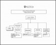 5  organizational Chart Template for Word